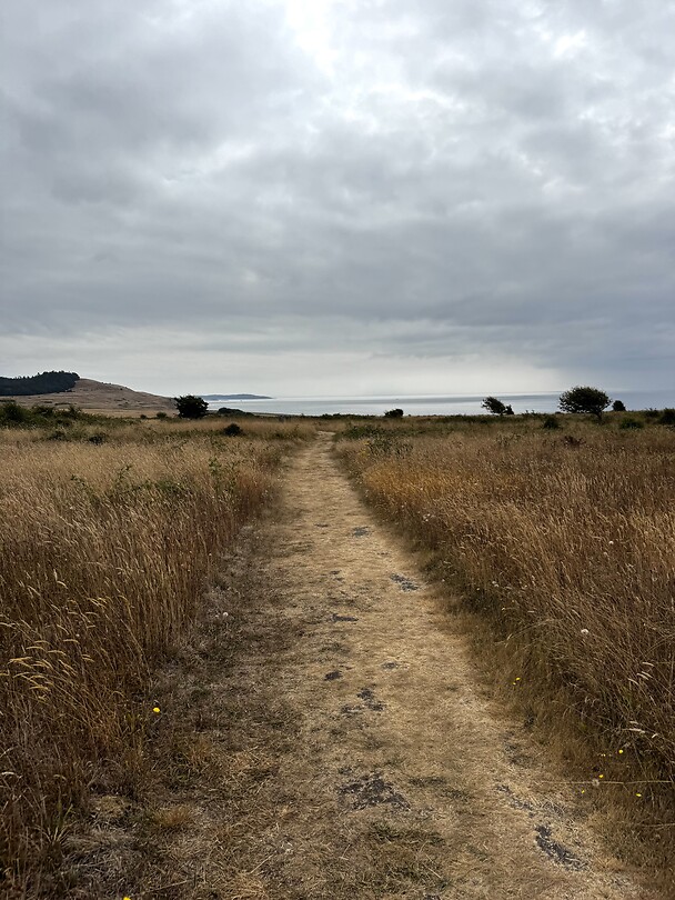 Beachwalk
