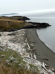 Driftwood everywhere