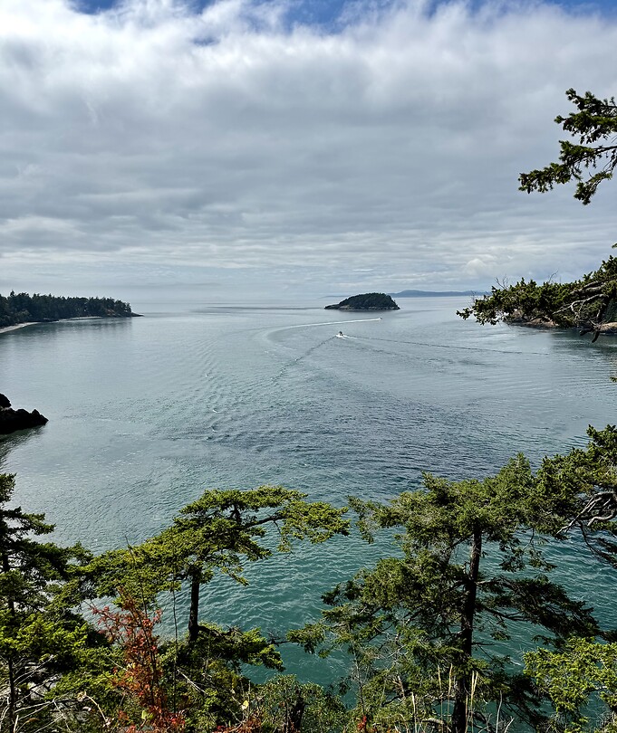 Views…