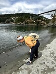 Looking for rocks