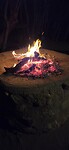 Genieten