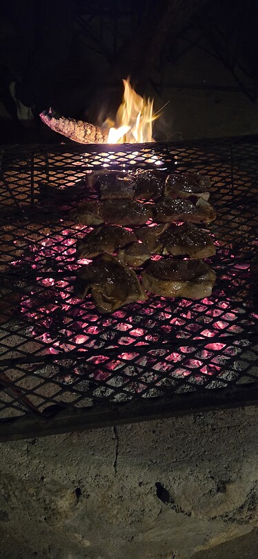 Vlees Van de braai