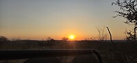 Sundowner