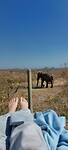 En toen stond er een olifant