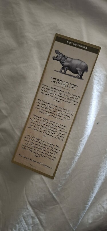 Bedtime story