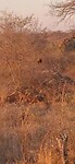 VID-20250804-WA0199