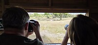 Schuilhut TE