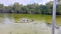 Snorkelen 4 meren BSG