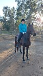 Anouk op Mounty Black UB