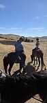 🐎🐎 Lesotho SKL