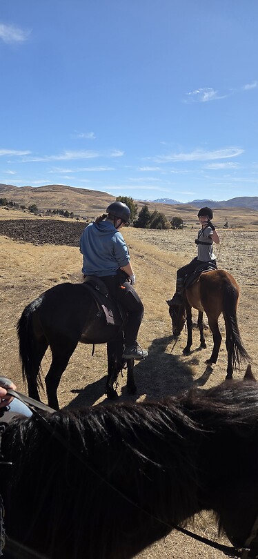 🐎🐎 Lesotho SKL