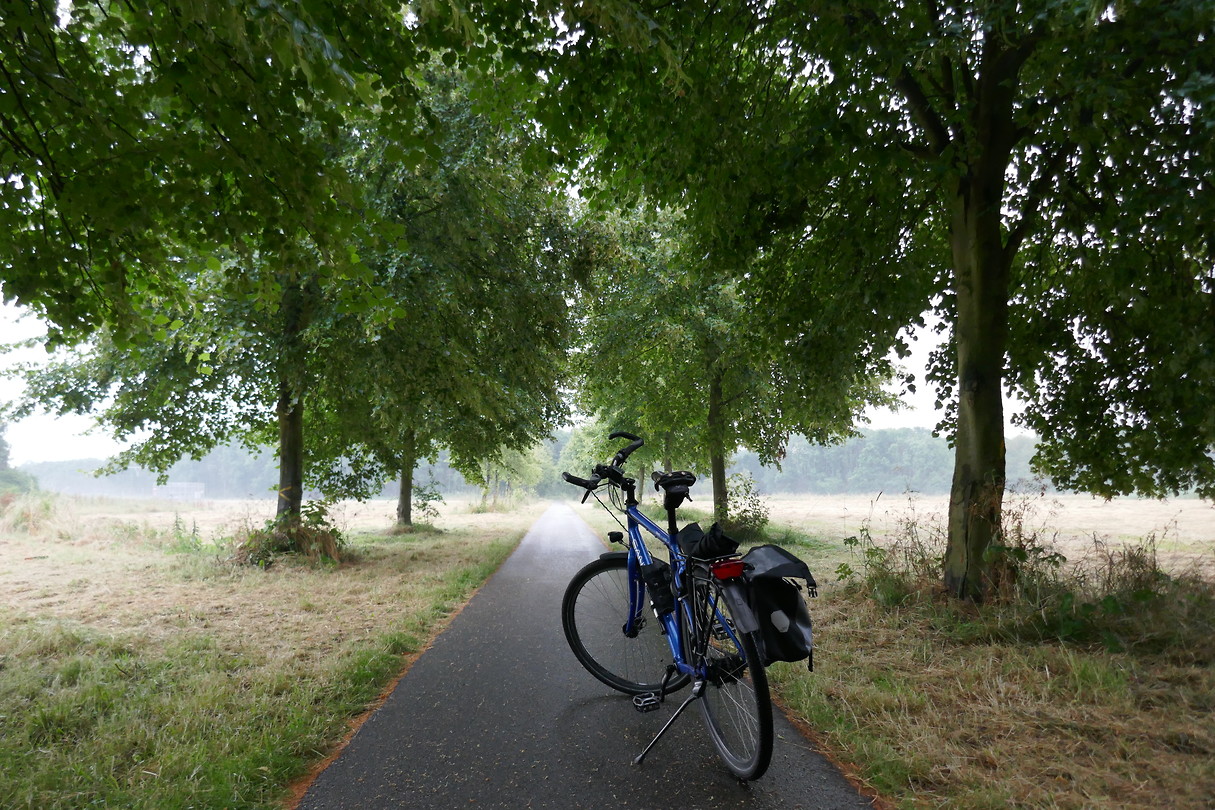 Maassluis - Vlaardingen