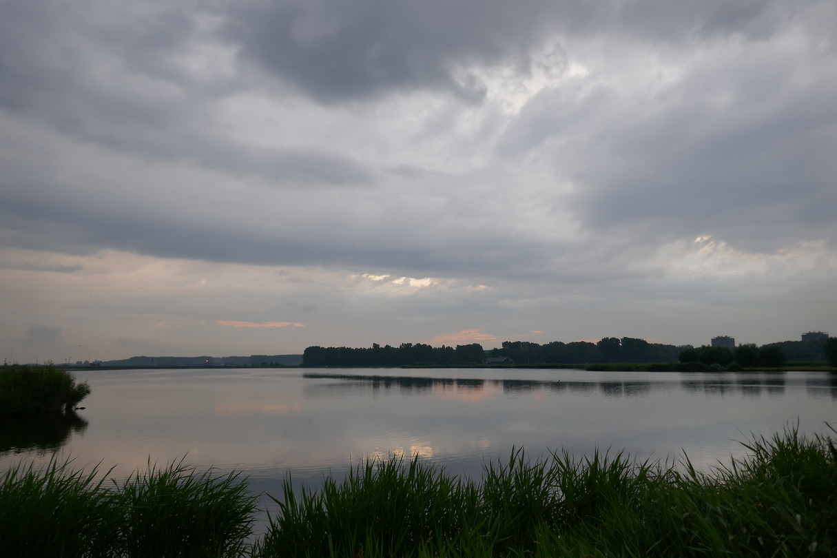 Maassluis - Vlaardingen
