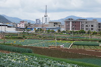 Tonghai met Eiffeltoren
