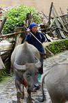 PugaoLaozhai
