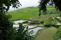 PugaoLaozhai