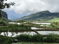 Laatste foto Pugao