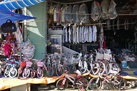 Bac Ha