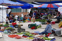 Bac Ha