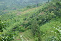 Bac Ha - Pho Rang
