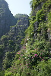 Hang Mua Cave