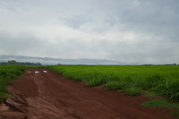 Bijzonder landschap