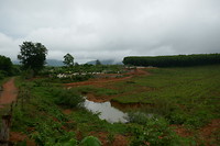 Mooi landschap
