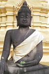 Wat Luang