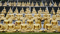 Wat Phou Salao