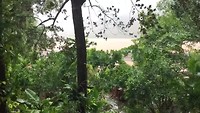 Mekong & regen