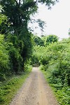 Ochtendwandeling