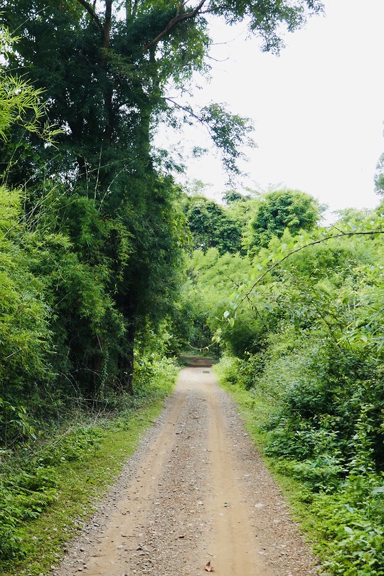 Ochtendwandeling