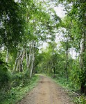 Ochtendwandeling