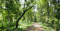 Ochtendwandeling