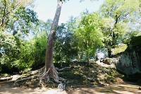 Angkor fiets