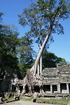 Angkor