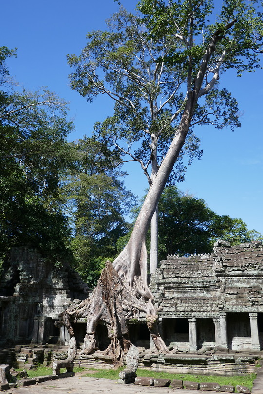 Angkor