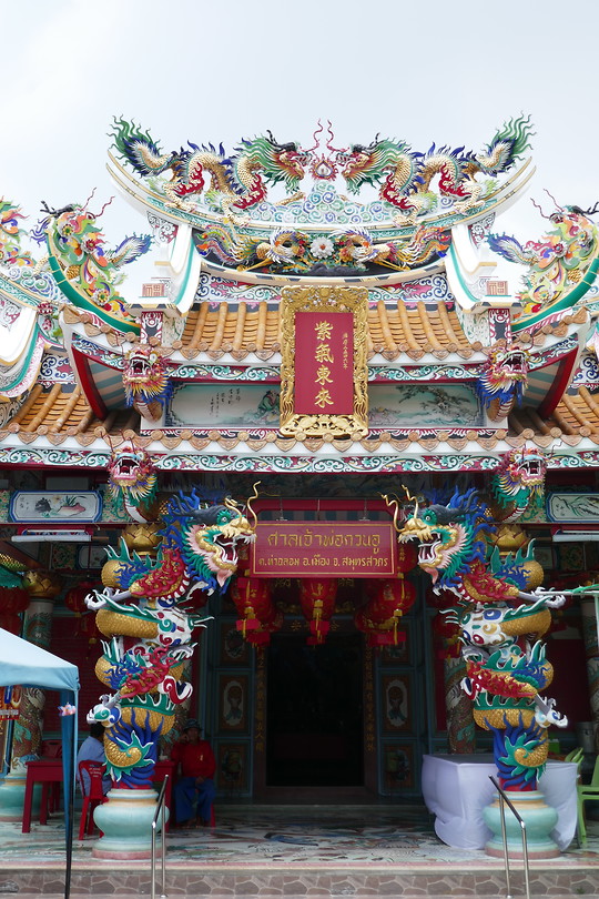 SiamRise