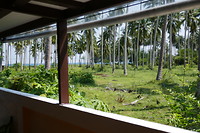 Baan Khemika