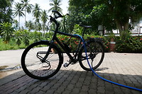 Bikecleaningday