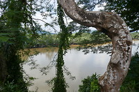 Grens met Myanmar