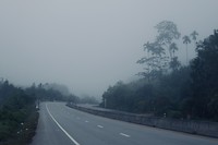 Nieuw: mist