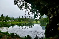 Tham Sam