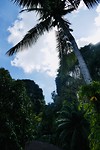 PN Mountain Resort
