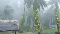 Afternoon rain