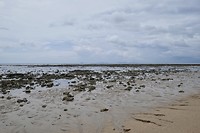 Khlong Khon, eb