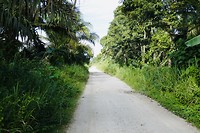 Naar Lumut