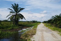 Naar Lumut
