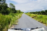 Naar Lumut