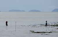 Naar Lumut